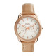 Fossil Correa para Reloj Fossil TAILOR LE1035