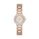 DKNY Bracelete do Relogio DKNY CHAMBERS NY2393