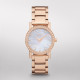 DKNY Correa para Reloj DKNY SOHO NY8121