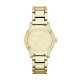 DKNY Correa para Reloj DKNY TOMPKINS NY8876