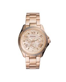 Fossil Bracelet pour Montre Fossil  AM4569