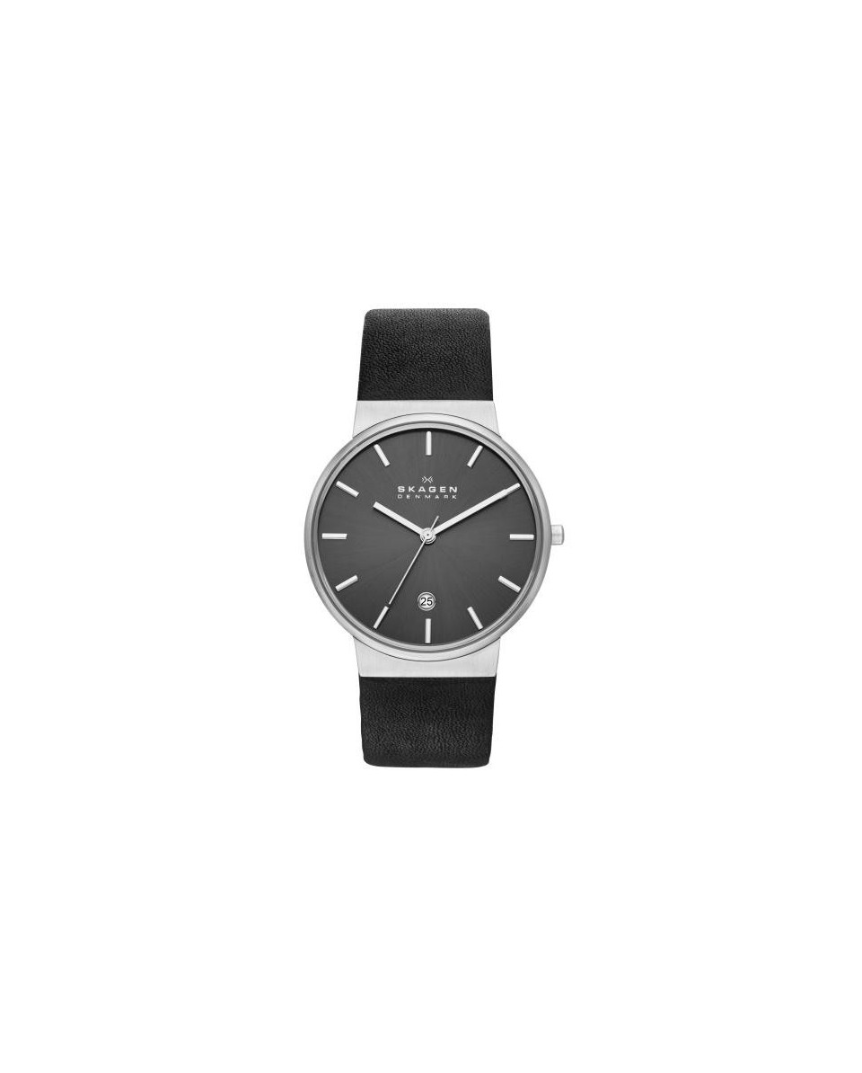 Skagen Bracelete do Relogio Skagen  SKW6101