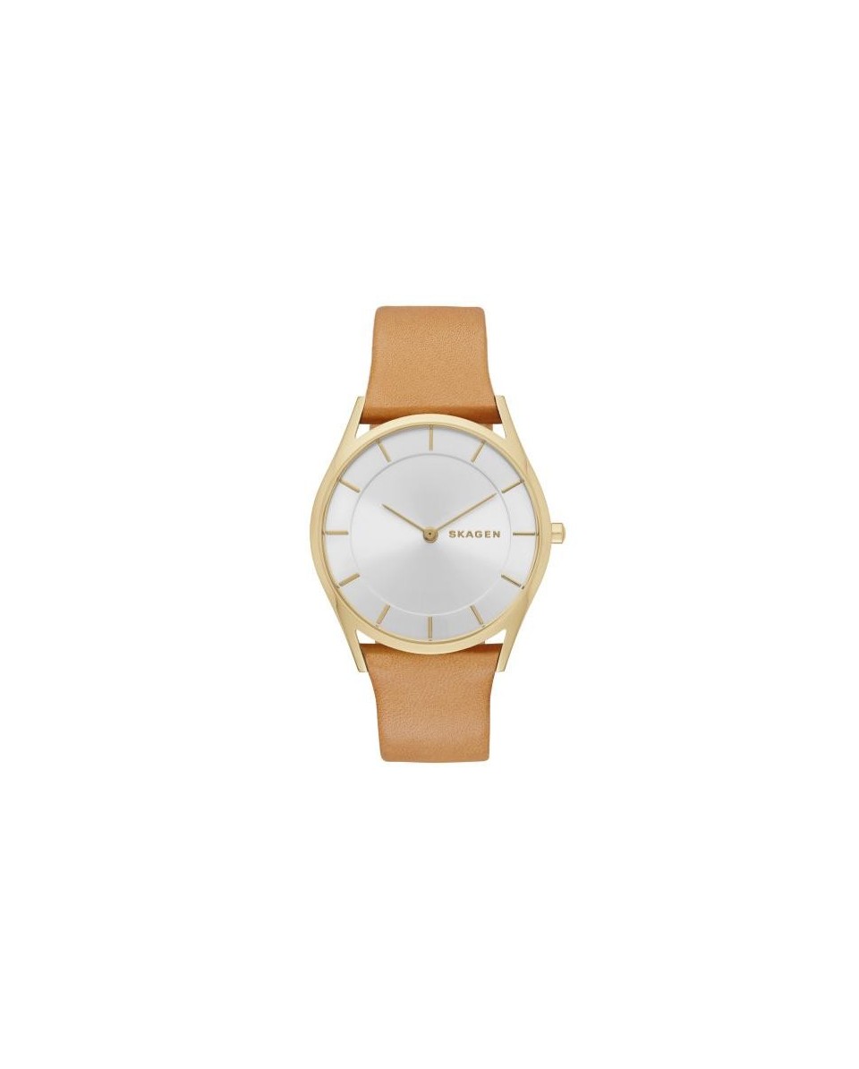 Skagen Correa para Reloj Skagen  SKW2344