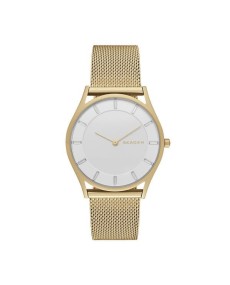 Skagen Bracelete do Relogio Skagen  SKW2377