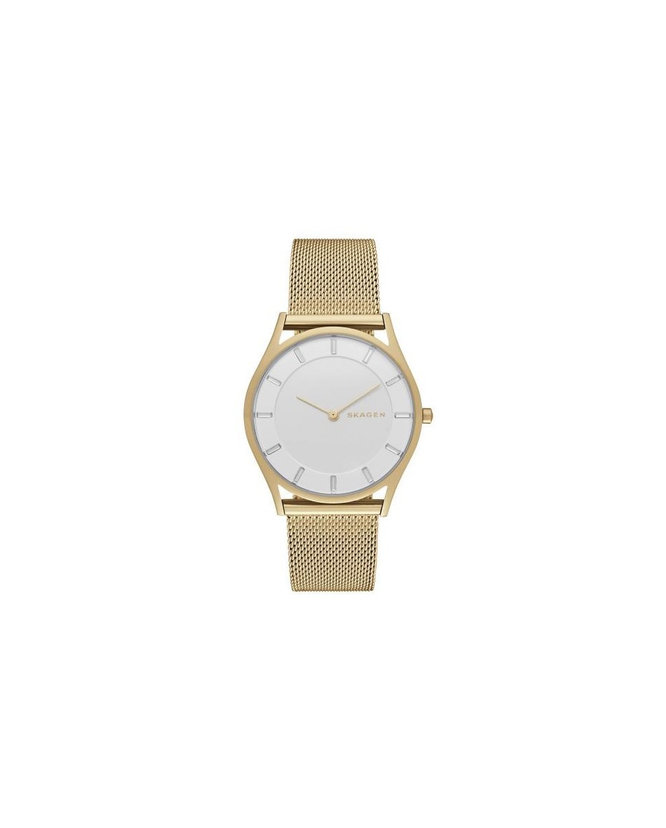 Skagen Bracelete do Relogio Skagen  SKW2377