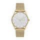 Skagen Bracelete do Relogio Skagen  SKW2377