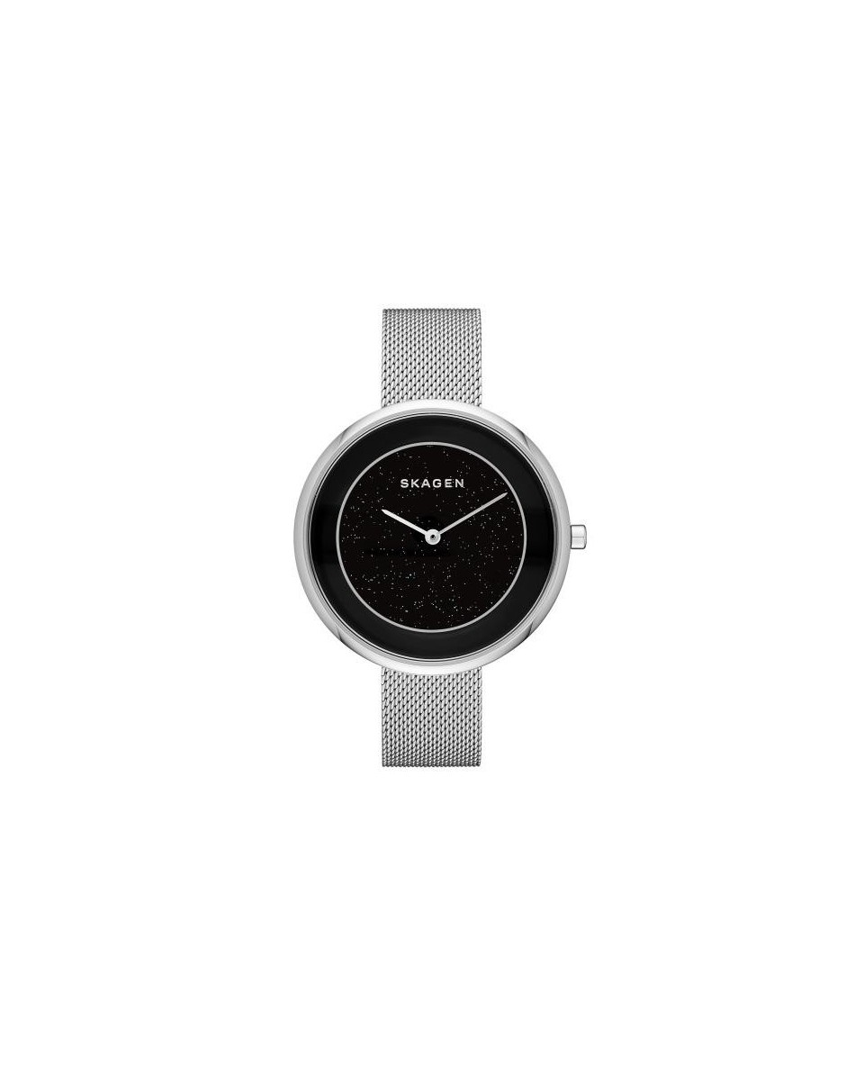 Skagen Bracelete do Relogio Skagen  SKW2384