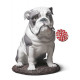 Lladro Bulldog with Lollipop Figurine - TicTacArea