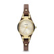 Fossil Correa para Reloj Fossil  ES3264