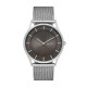 Skagen Cinturino da Orologio Skagen  SKW6239