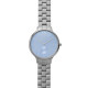 Skagen Armbander für Uhr Skagen  SKW2416