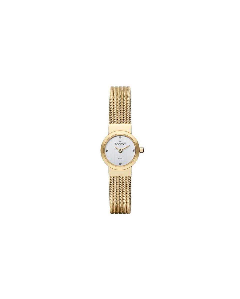 Skagen Bracelete do Relogio Skagen  SKW2009