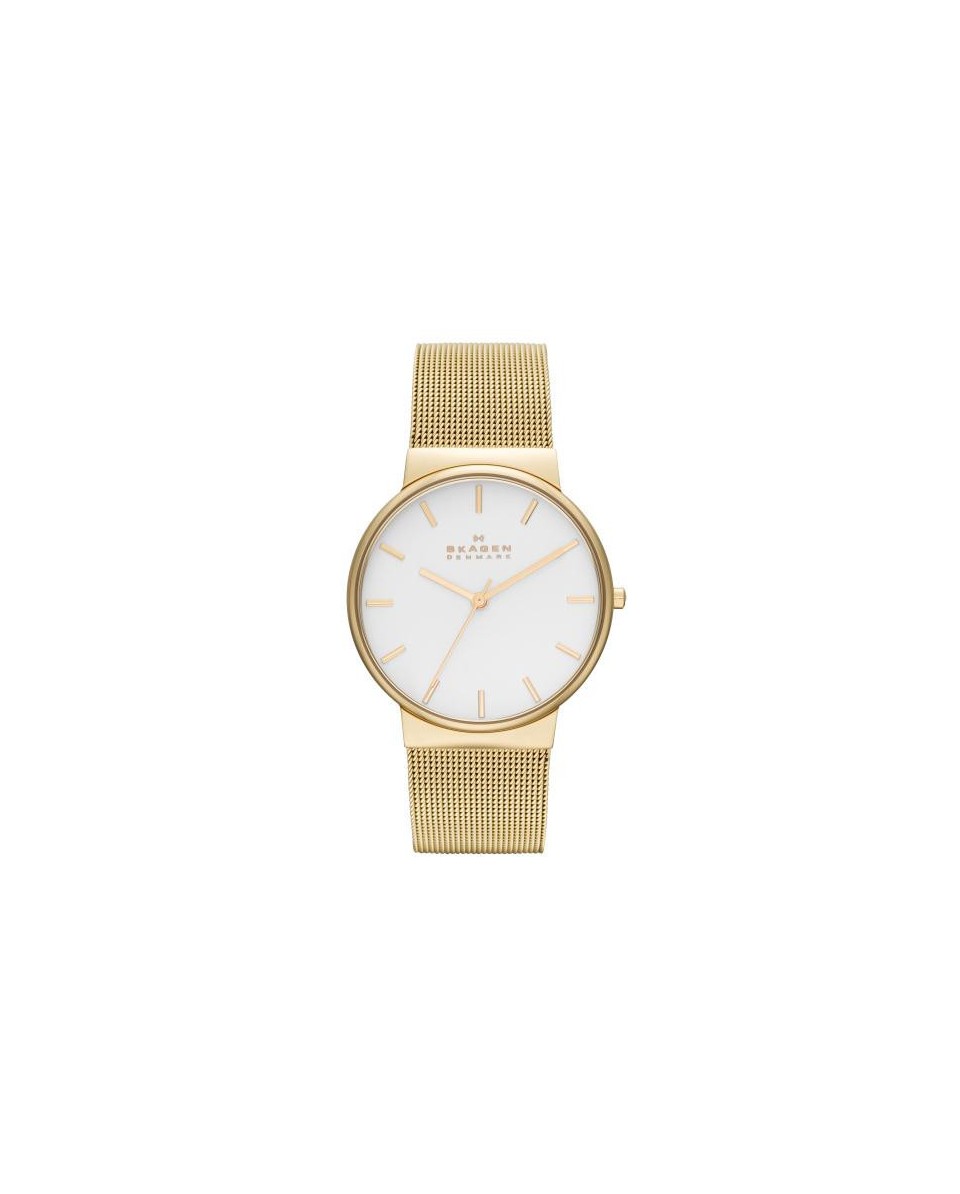 Skagen Strap for Skagen Watch  SKW2202