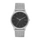 Skagen Bracelete do Relogio Skagen  SKW6334