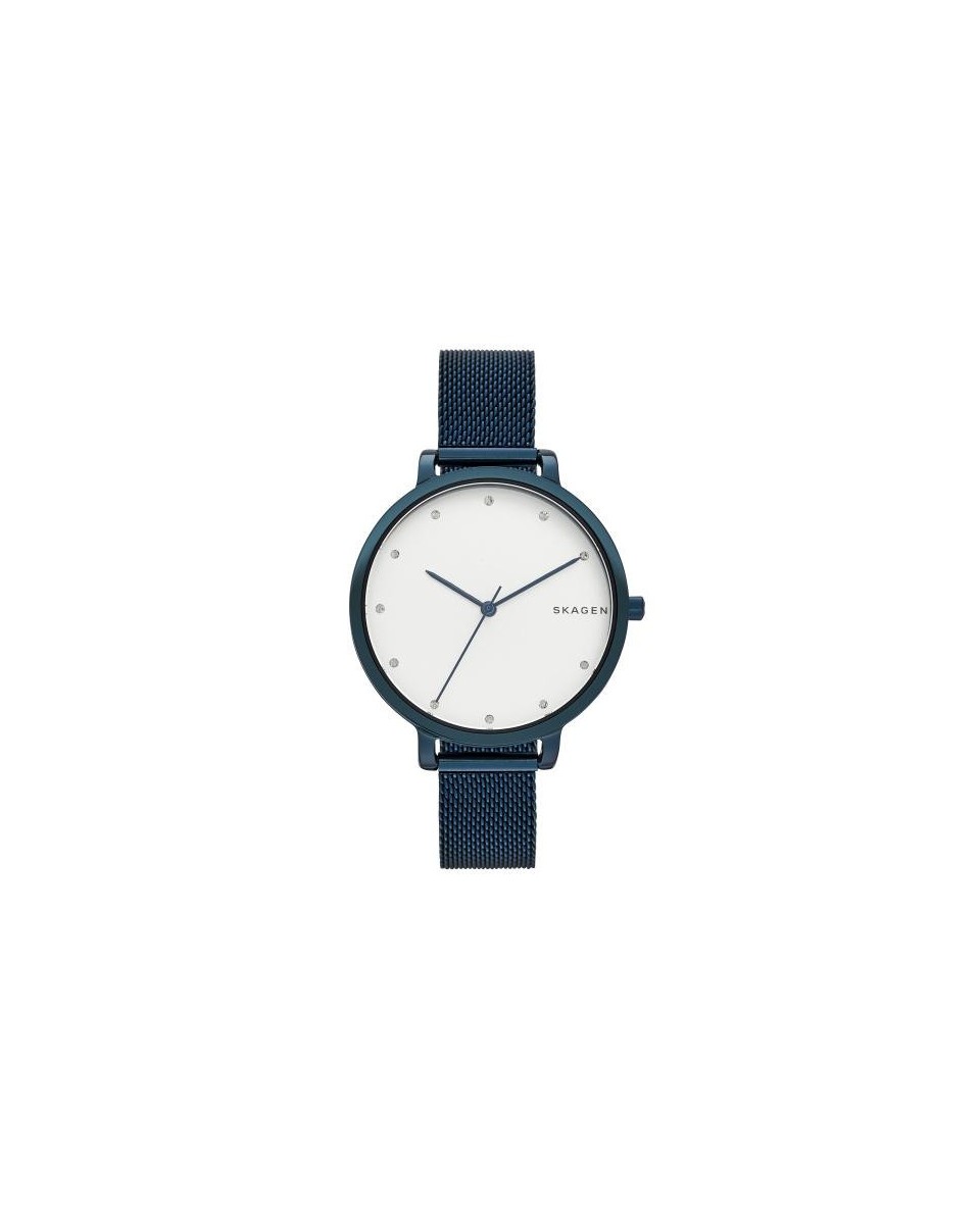 Skagen Bracelete do Relogio Skagen  SKW2579