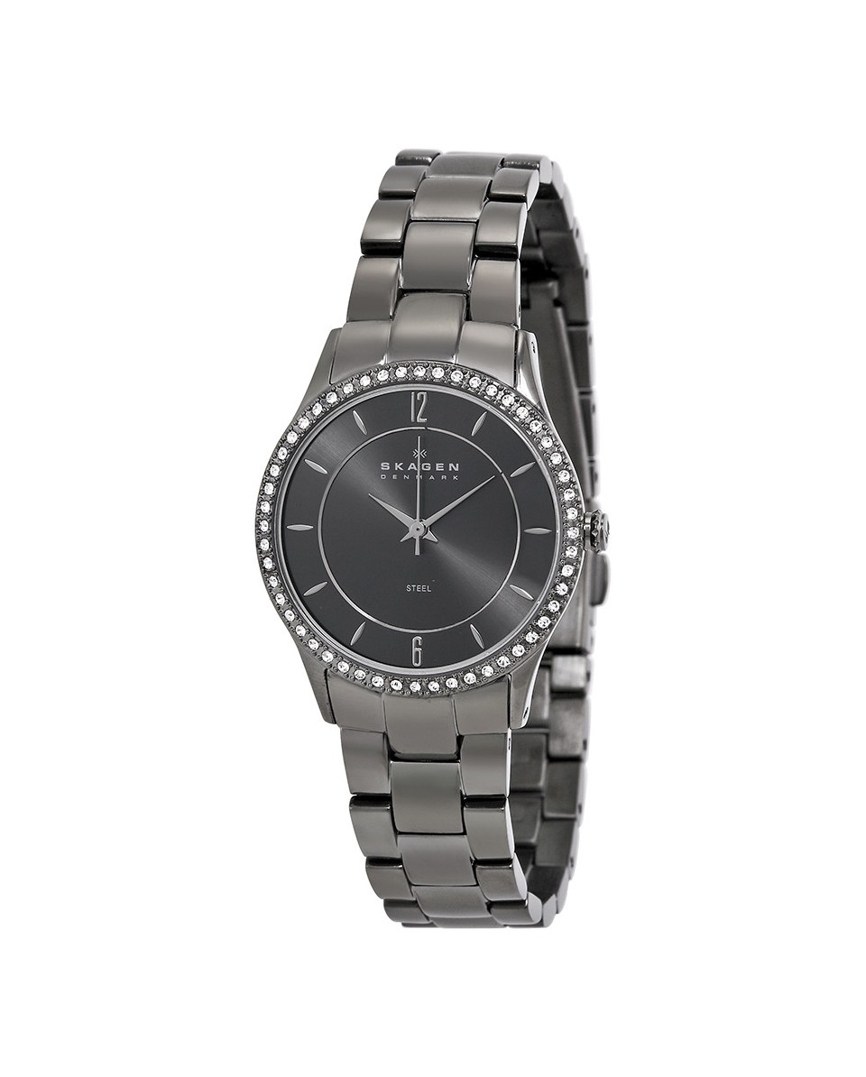 Correa Skagen para el Reloj Skagen  347SMXM