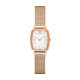 Emporio Armani Strap for Emporio Armani Watch AR2496