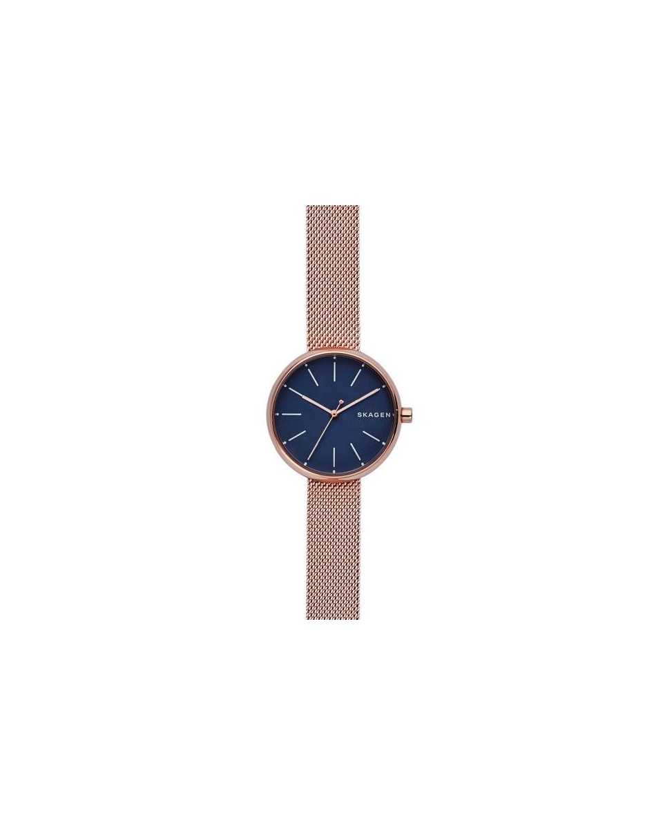 Skagen Bracelete do Relogio Skagen  SKW2593