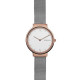 Skagen Armbander für Uhr Skagen  SKW2616