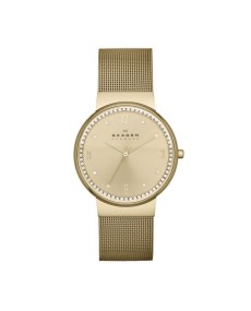 Skagen Bracelete do Relogio Skagen  SKW2129