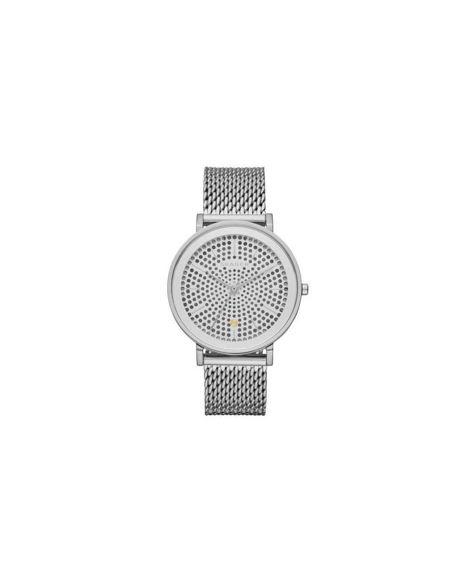 Skagen Bracelete do Relogio Skagen  SKW2446