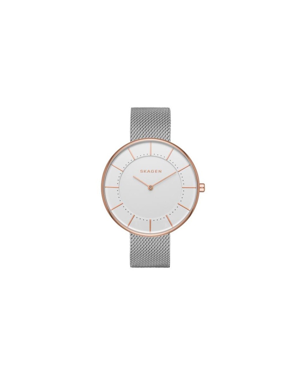 Skagen Armbander für Uhr Skagen GITTE SKW2583