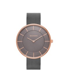 Skagen Armbander für Uhr Skagen GITTE SKW2584