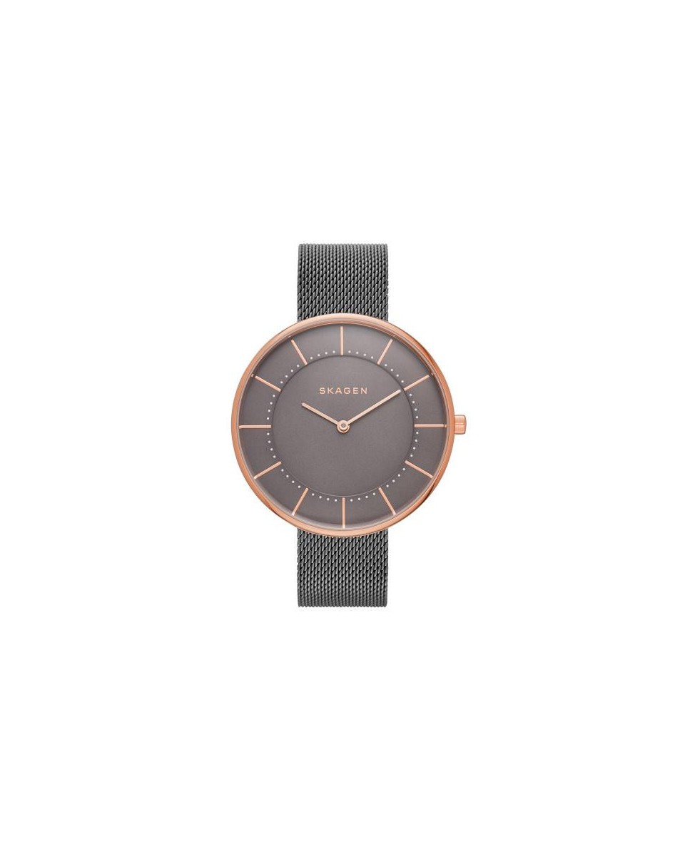 Skagen Armbander für Uhr Skagen GITTE SKW2584