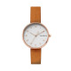 Skagen ремешок для часы Skagen SIGNATUR SKW2624