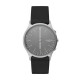 Skagen ремешок для часы Skagen JORN SKT1203