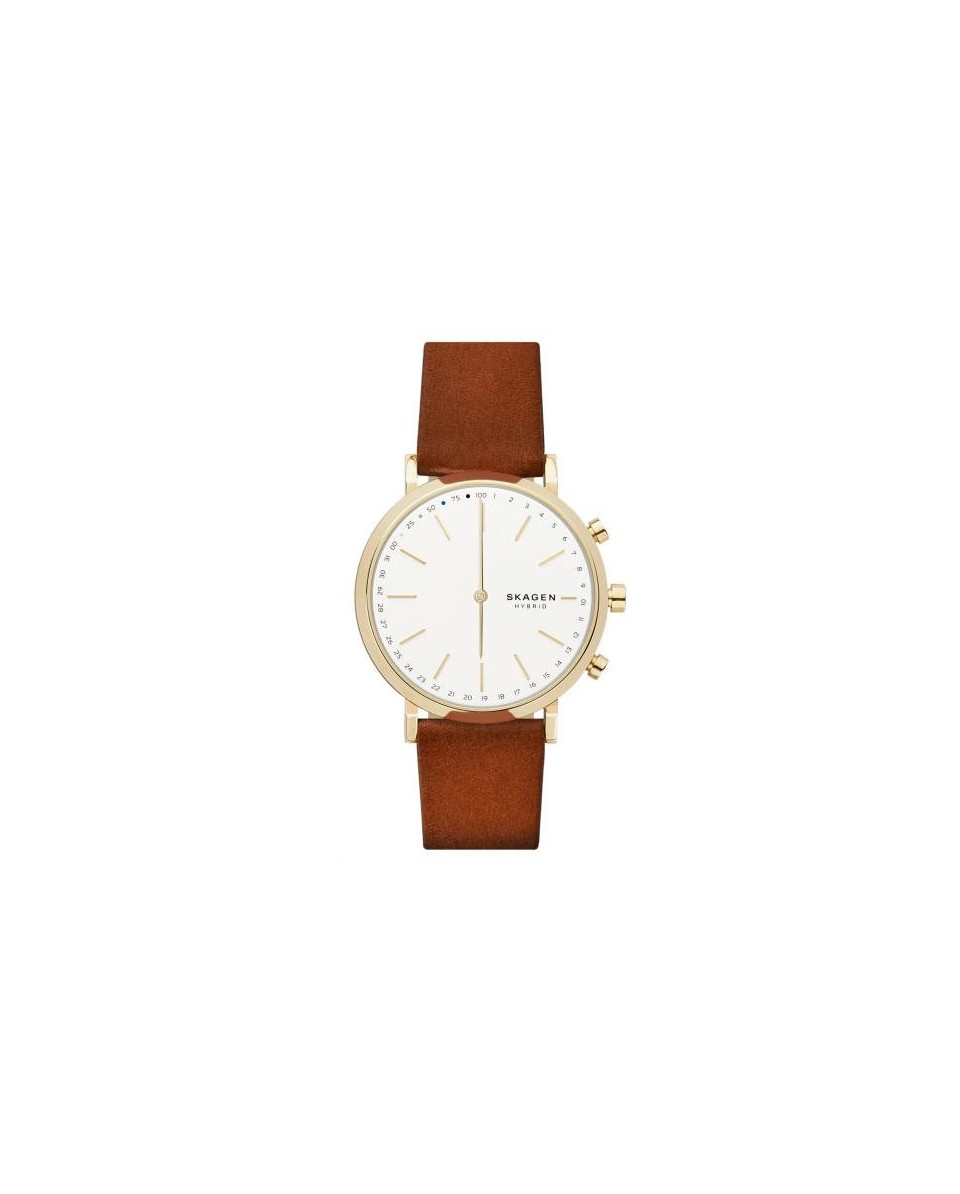 Skagen ремешок для часы Skagen HALD SKT1206