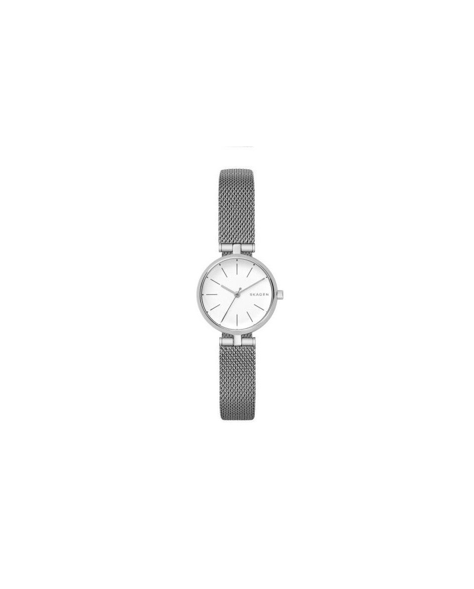 Skagen Bracelete do Relogio Skagen  SKW2642