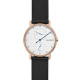 Skagen Armbander für Uhr Skagen  SKW6390