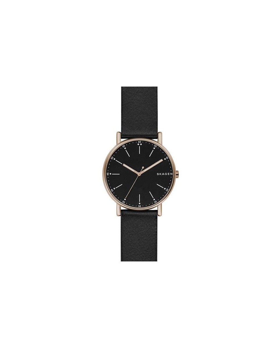 Skagen Cinturino da Orologio Skagen  SKW6401