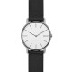 Skagen Cinturino da Orologio Skagen  SKW6419