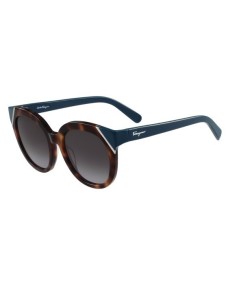 Occhiali da Sole Salvatore Ferragamo  SF836S-253