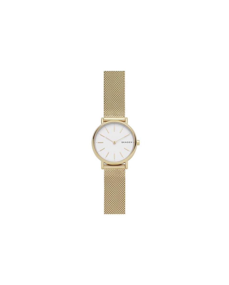 Relógio Skagen SIGNATUR SKW2693: elegância minimalista.