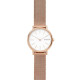 Relógio Skagen SIGNATUR SKW2694: elegância minimalista.