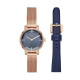 DKNY Correa para Reloj DKNY SOHO NY2679