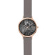 Skagen ремешок для часы Skagen ANITA SKW2672