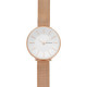 Skagen ремешок для часы Skagen KAROLINA SKW2688