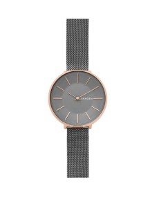 Skagen Armbander für Uhr Skagen KAROLINA SKW2689