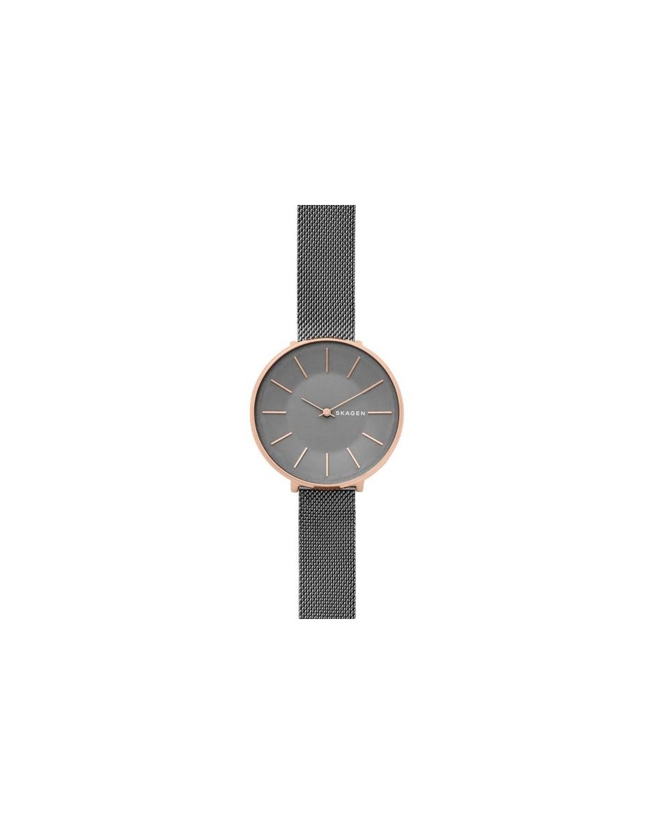 Skagen Armbander für Uhr Skagen KAROLINA SKW2689