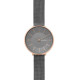 Skagen Armbander für Uhr Skagen KAROLINA SKW2689