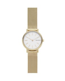 Skagen Bracelete do Relogio Skagen SIGNATUR SKW2693