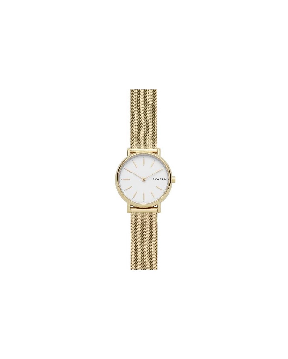 Skagen Bracelete do Relogio Skagen SIGNATUR SKW2693