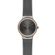 Skagen Cinturino da Orologio Skagen FREJA SKW2707