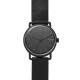 Skagen Bracelete do Relogio Skagen FALSTER SKW6398