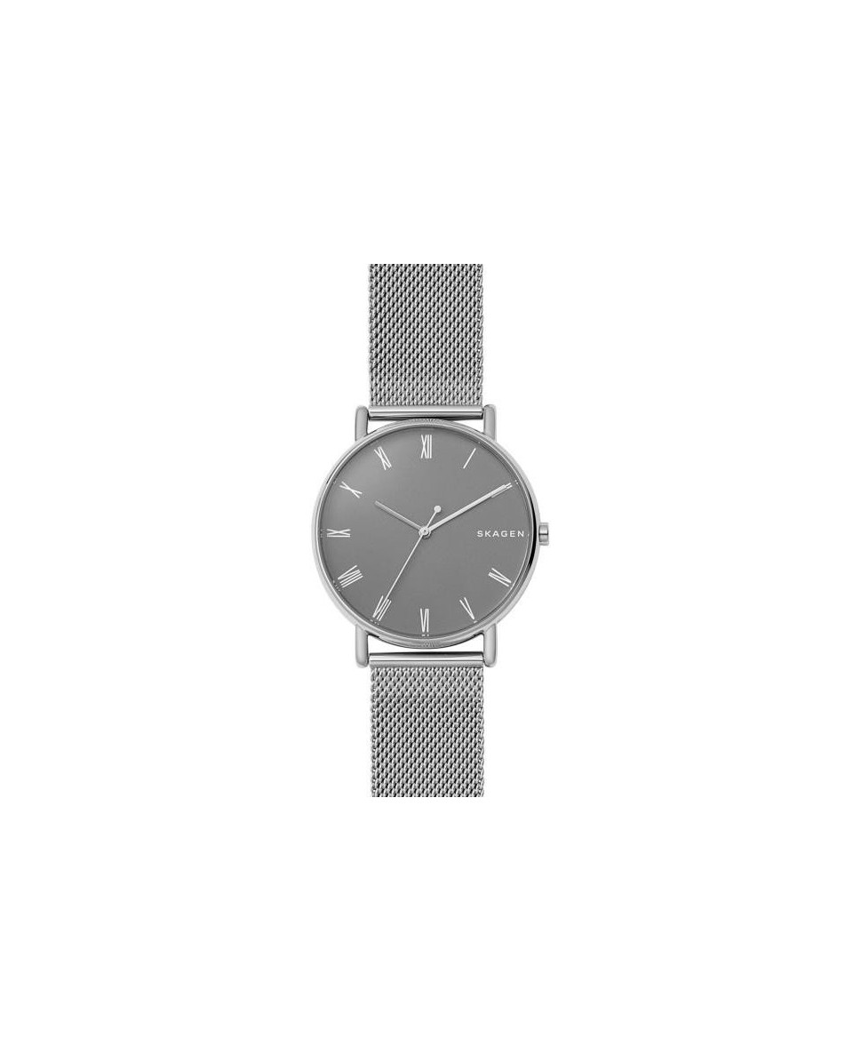 Skagen Correa para Reloj Skagen SIGNATUR SKW6428