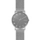 Skagen Correa para Reloj Skagen SIGNATUR SKW6428